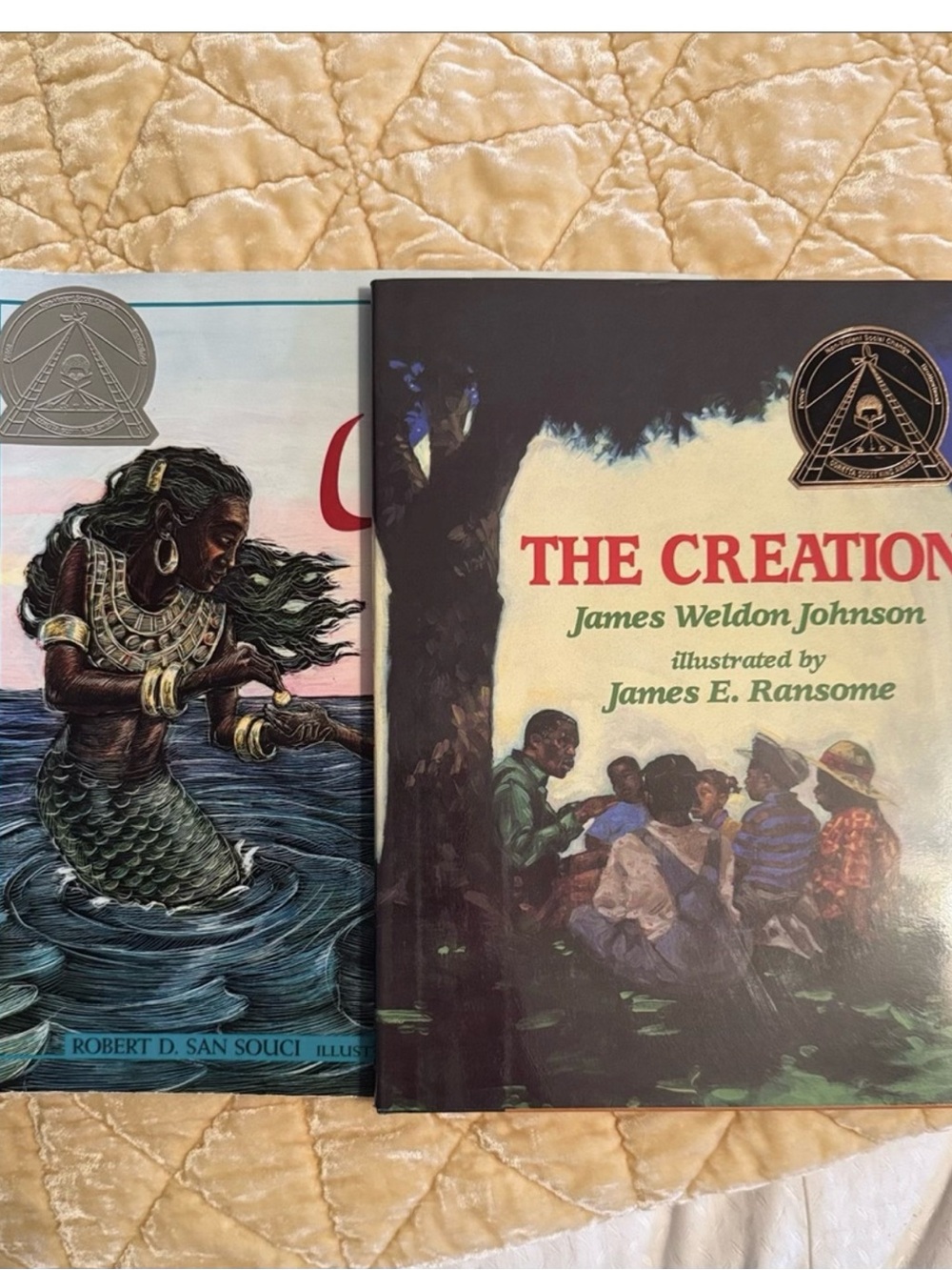 Two Corletta Scott King Award Books for Kids